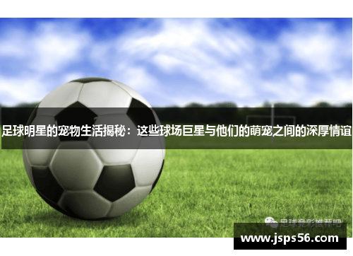足球明星的宠物生活揭秘：这些球场巨星与他们的萌宠之间的深厚情谊