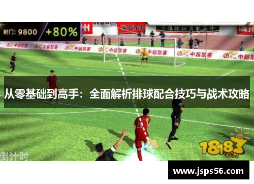 从零基础到高手：全面解析排球配合技巧与战术攻略
